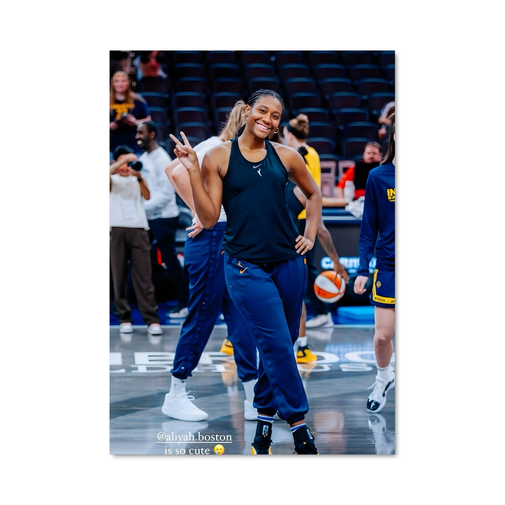 Poster Dance of Champions – affiche Basketball